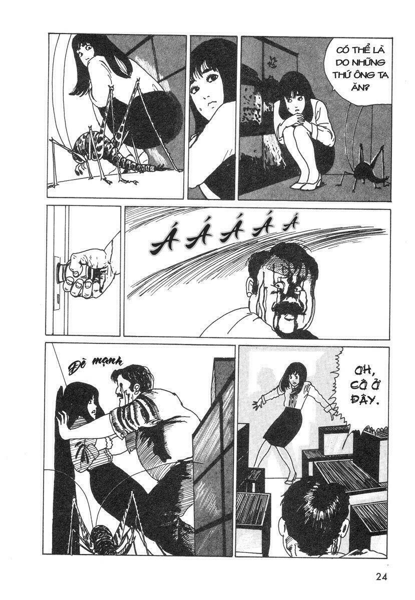 mái tóc của thành a-ten chapter 1 24