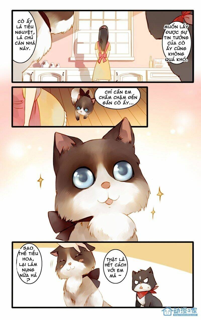 hằng mộng nam thần chapter 22 15