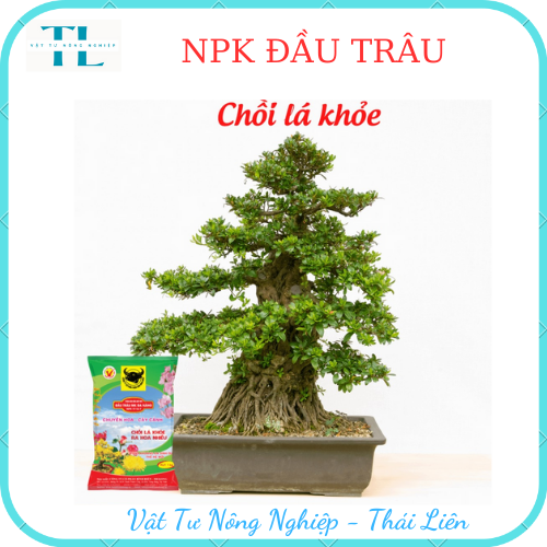 Phân bón Đầu Trâu đa năng NPK 17-12-7 chuyên hoa cây cảnh chồi lá khỏe ra hoa nhiều 1kg