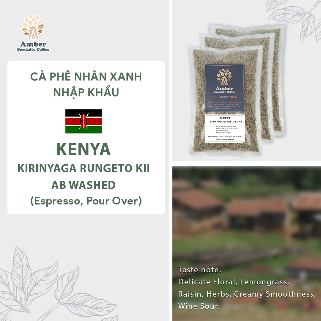 Cà phê nhân xanh Kenya Kirinyaga Rungeto KII AB Washed  - 1kg | Amber Specialty Coffee