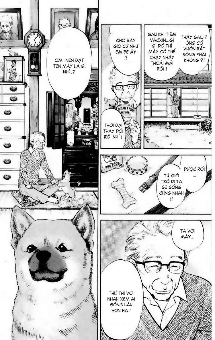 cô nàng yêu chó chapter 19 9