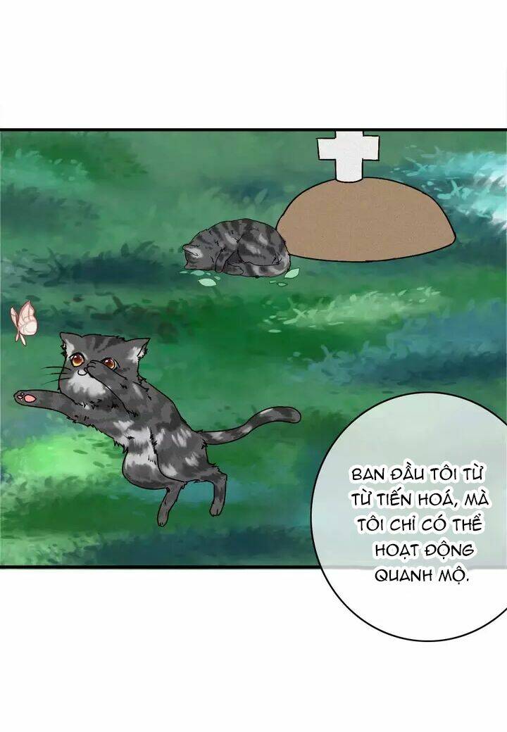 thập quang mật ngữ chapter 11.5 39