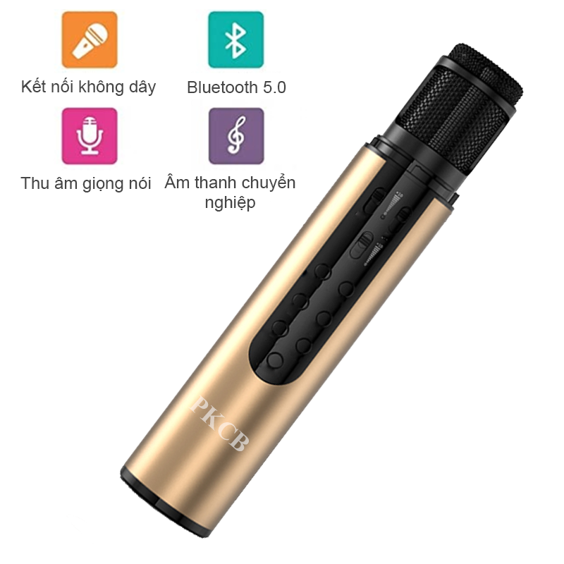 Micro Karaoke Bluetooth Không Dây Hát Nhạc, Âm Thanh Chuyên Nghiệp - Hàng Chính Hãng PKCB