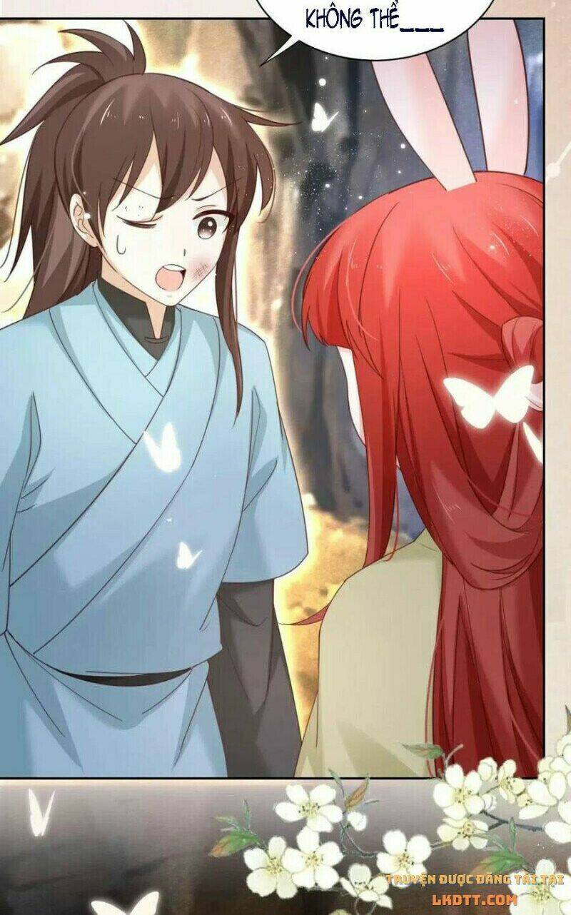 hắc hóa nam chính trực tuyến nuôi thỏ chapter 53 16