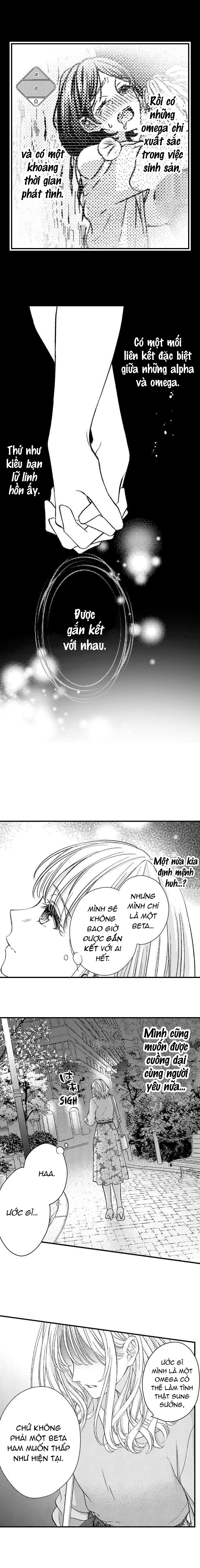 định mệnh thú vị: alpha và omega chapter 1.2 1