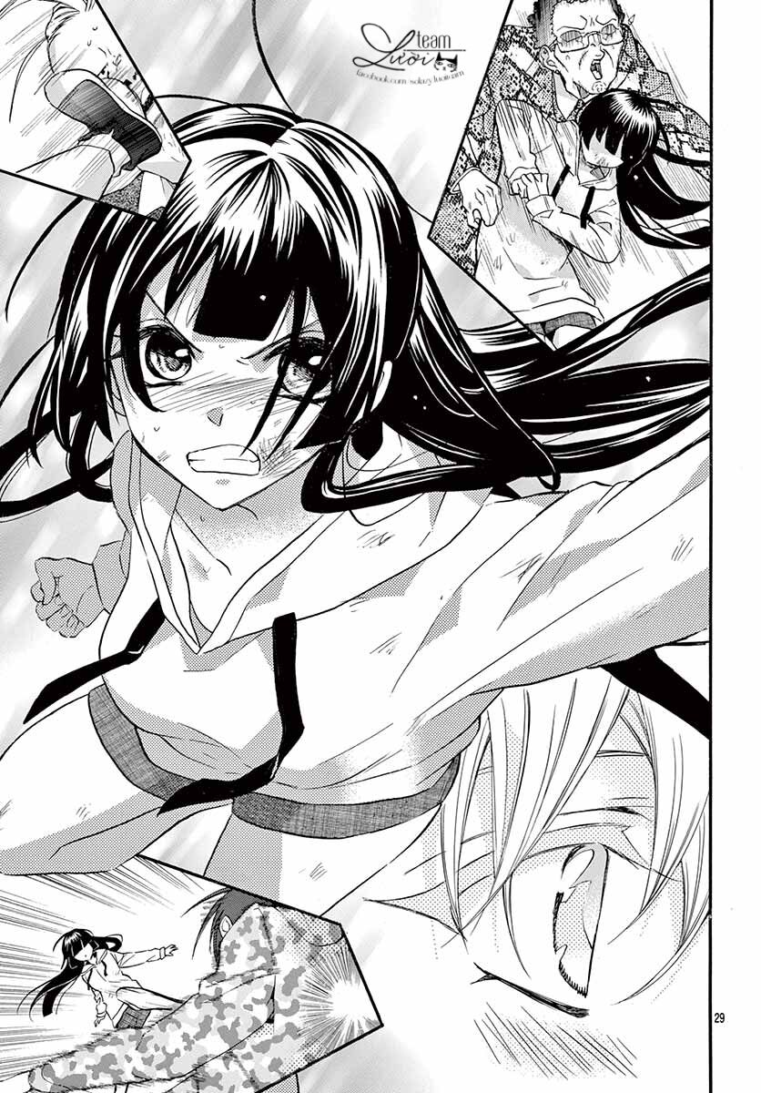 chàng rể giả nhân giả nghĩa chapter 5 29