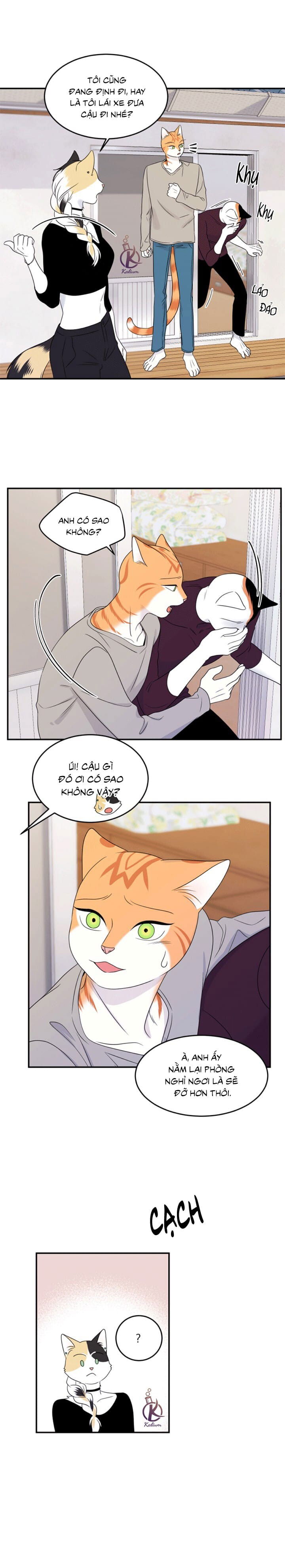 dự án xanh chapter 27 17