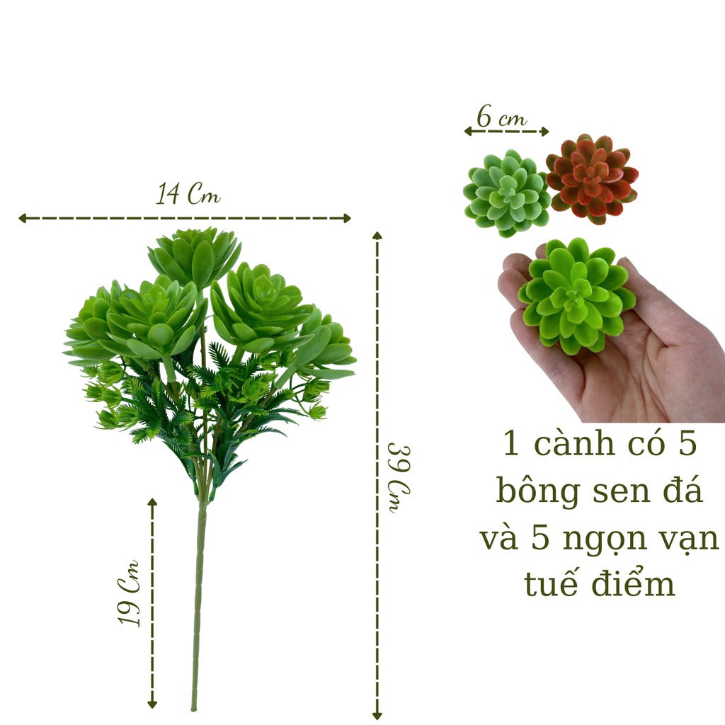 Cụm hoa sen đá giả siêu đẹp giống thật 99% - Cây giả, hoa lụa Decor trang trí nhà cửa