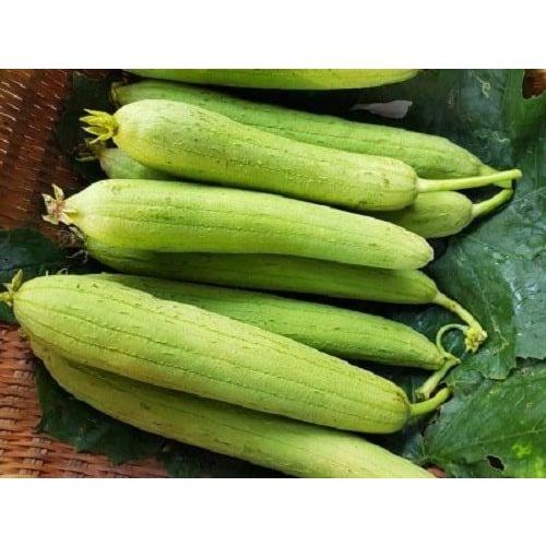 Hạt giống mướp hương Việt Nam siêu thơm - Rất Dễ Trồng, Thơm, Ngọt gói 2g