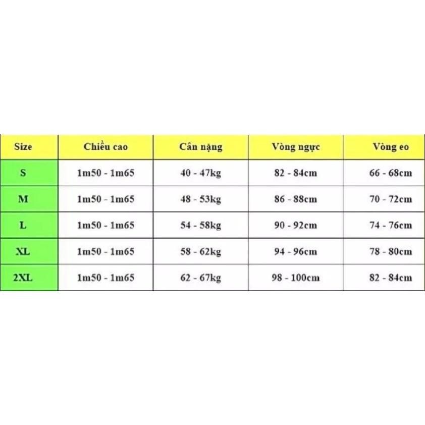 Áo Dài Cách tân chất lụa tây thi cao cấp dáng xuông hiện đại