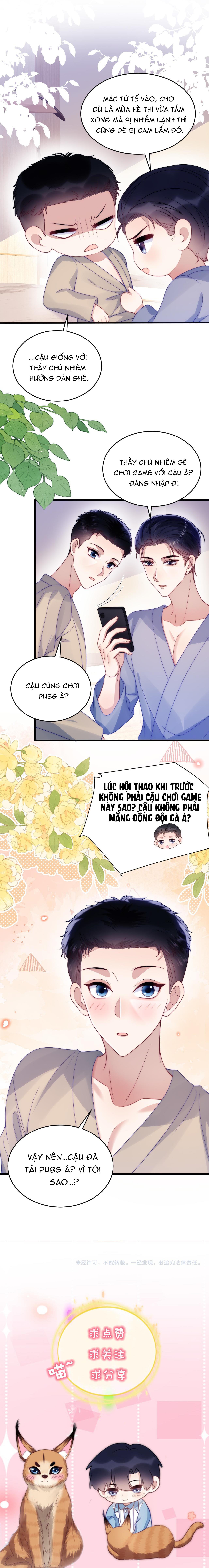 mèo hoang nhỏ của học bá quá chọc người rồi chapter 61 4