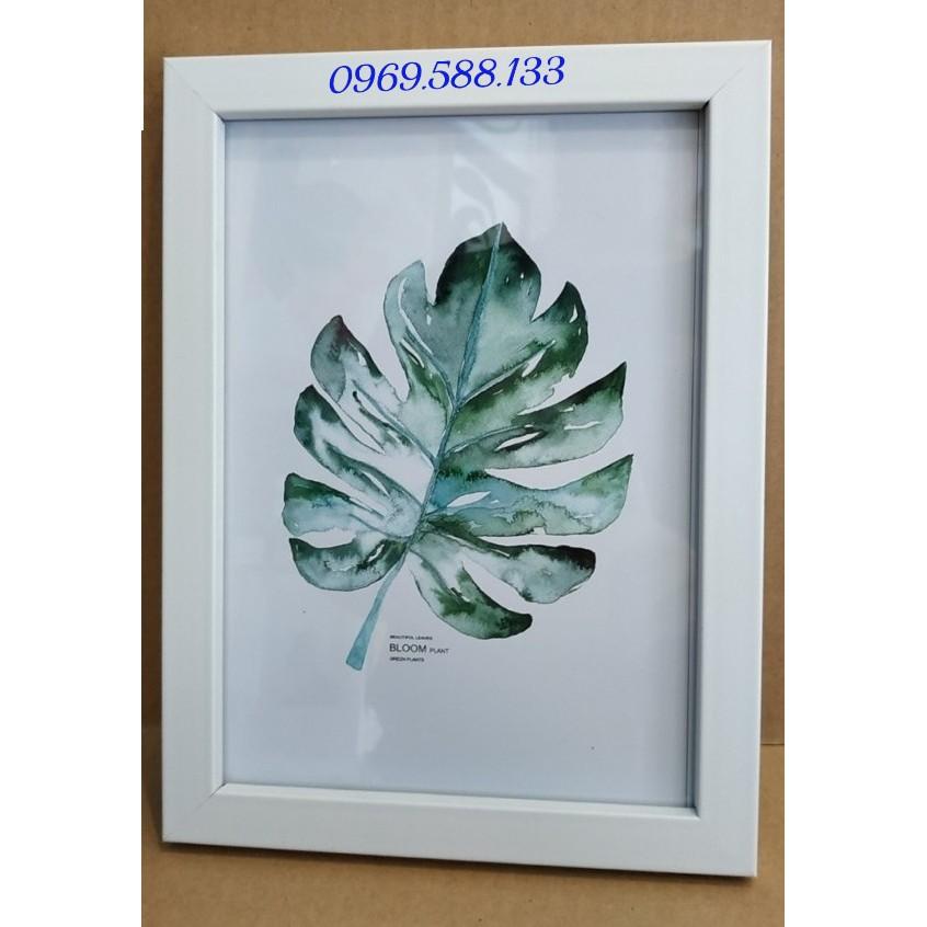 Khung ảnh A3 kích thước 30x40cm, mặt khung bằng mica>>