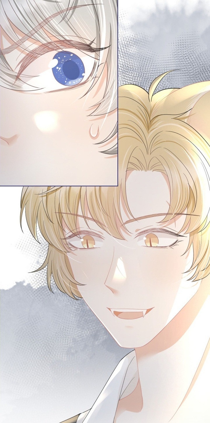 ăn một bé thỏ chapter 82 8