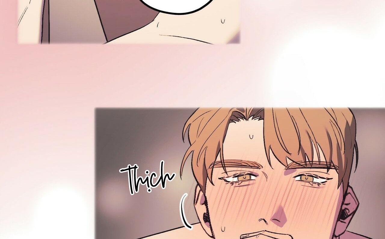 chàng dâu nhà họ kang chapter 18 75