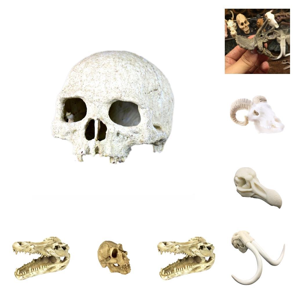 Reptile Terrarium Ornament Lizard Snake Cave Crocodile Skull  Tank Decor