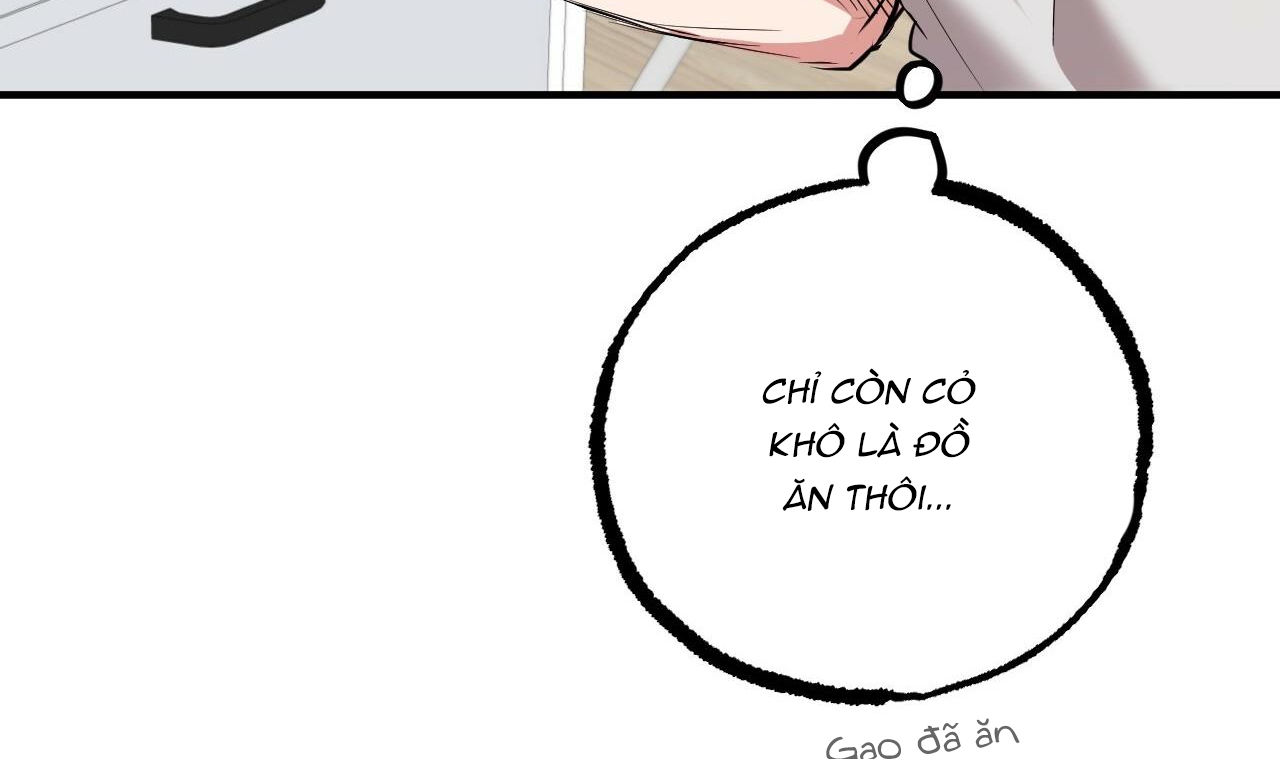 đàn thỏ của habibi chapter 39 46