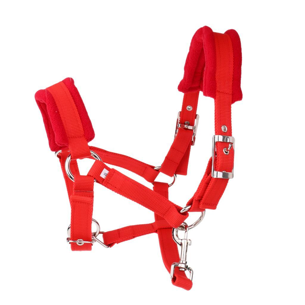 Soft Padded Adjustable Horse Headcollar  + 2.5 Meters Lead Rope
