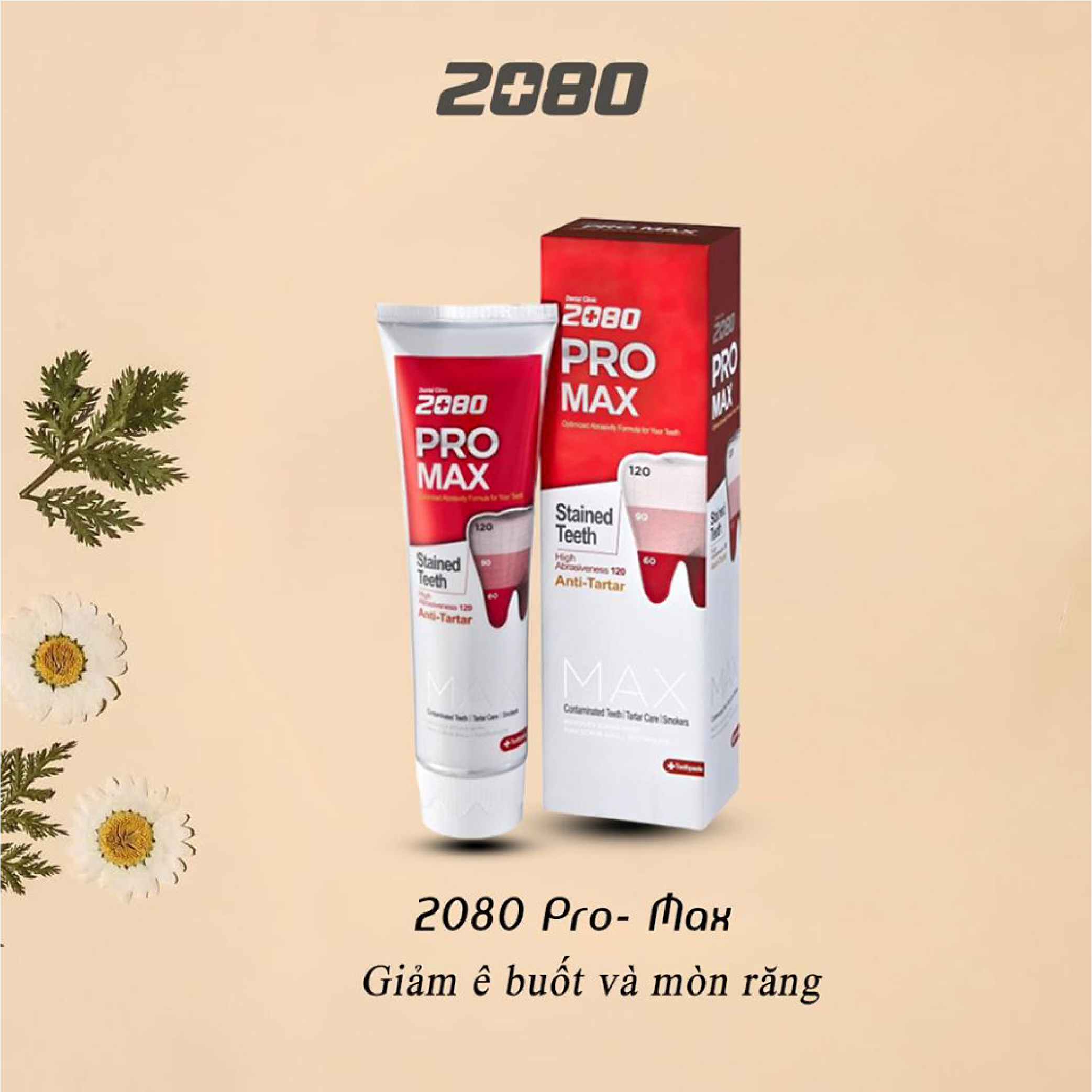 Kem đánh răng cao cao cấp chuyên biệt chống ê buốt răng nhạy cảm nhẹ 2080 PRO MAX SENSITIVE 125g - Hàn Quốc Chính Hãng