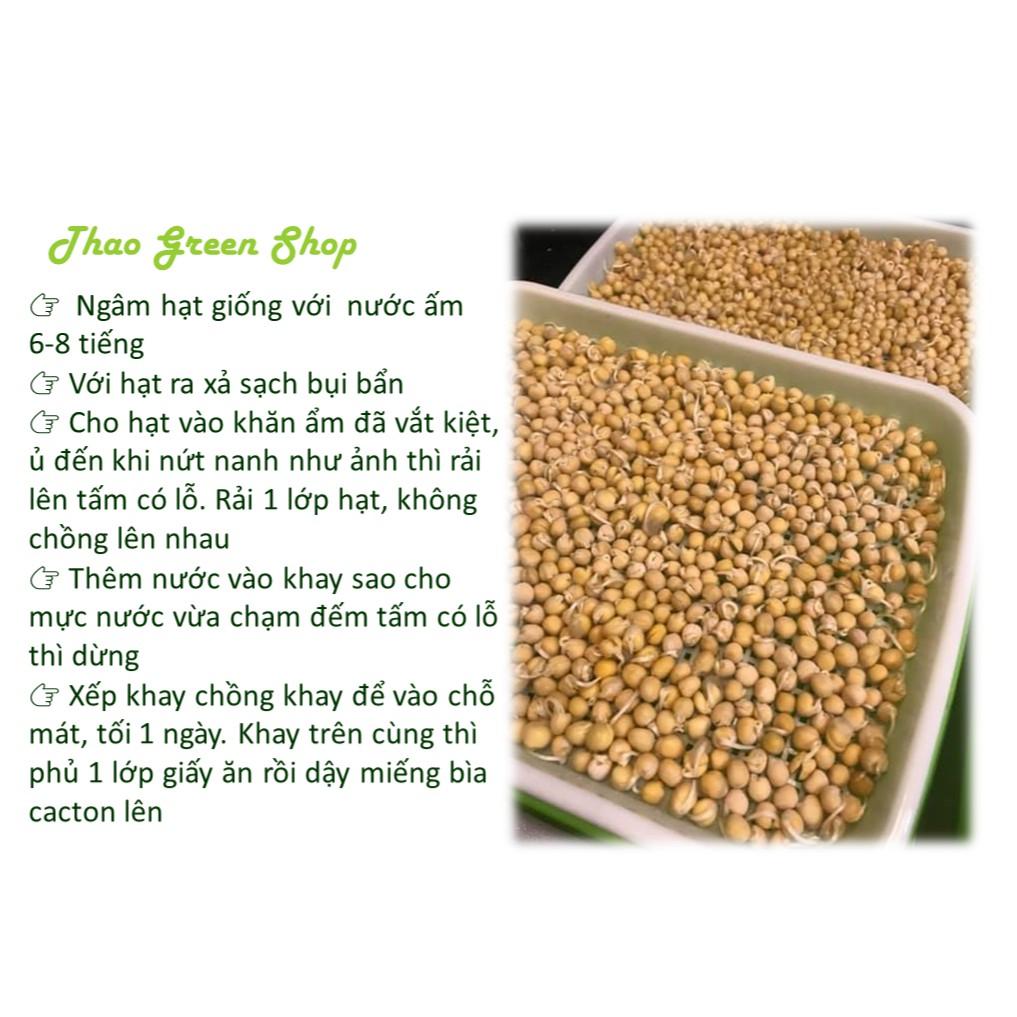 Khay Trồng Rau Mầm, Giá Đỗ Thông Minh Không Cần Giá Thể