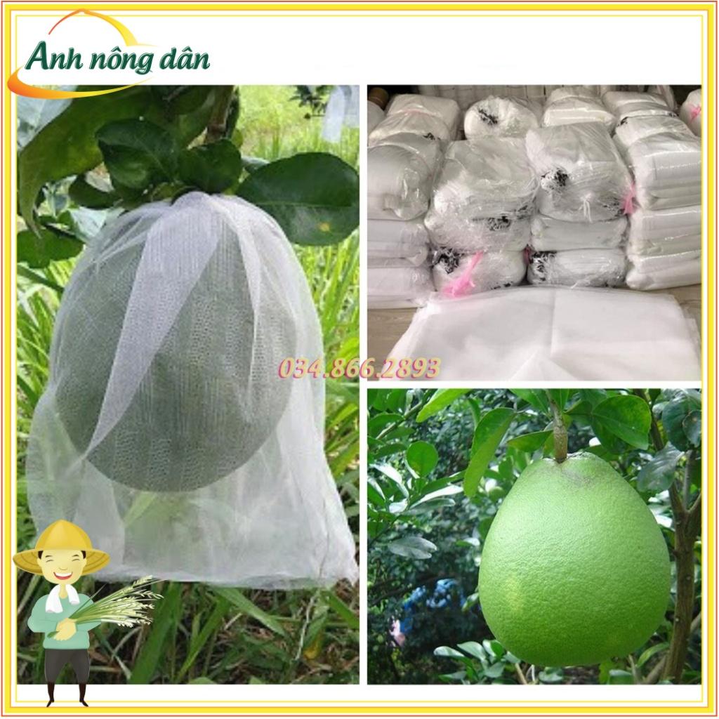Bộ 200 Túi bọc bưởi, túi bao trái cây kích thước 30 x 30cm - Anh nông dân chính hiệu