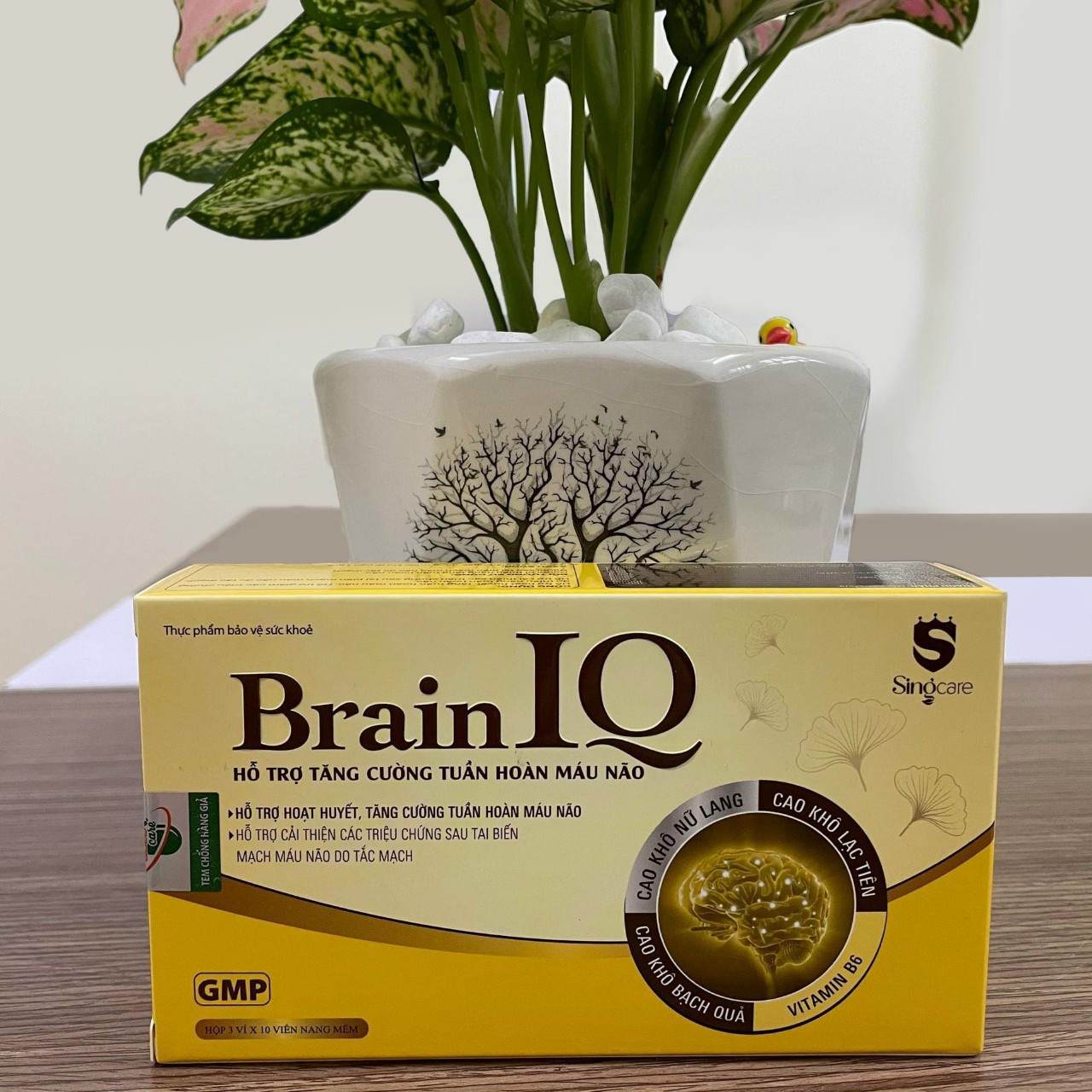 Viên Uống Bổ Não Brain IQ - Tăng Cường Tuần Hoàn Não, Ngủ Ngon, Cải Thiện Trí Nhớ ( Hộp 30 Viên)