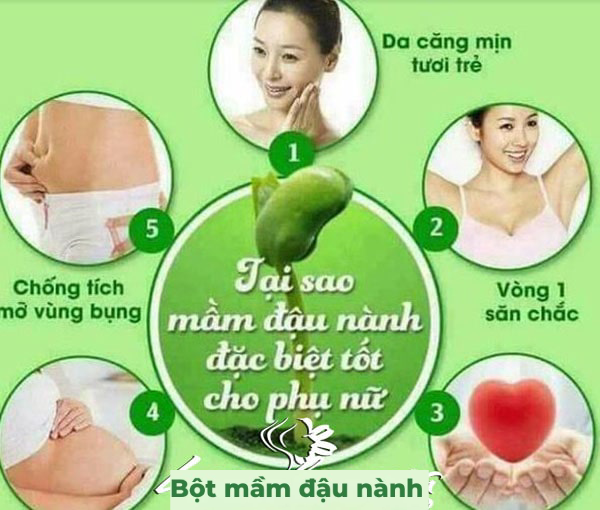 Combo 02 Hộp Mầm Đậu Nành Nguyên Xơ MS Tăng Vòng 1, Cải Thiện Nội Tiết Phụ Nữ