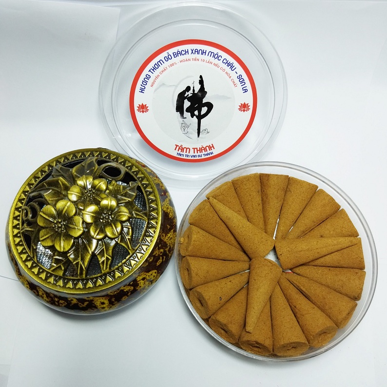 Nụ Bách xanh Mộc Châu - Sơn La TẶNG lư xông trầm màu ngẫu nhiên