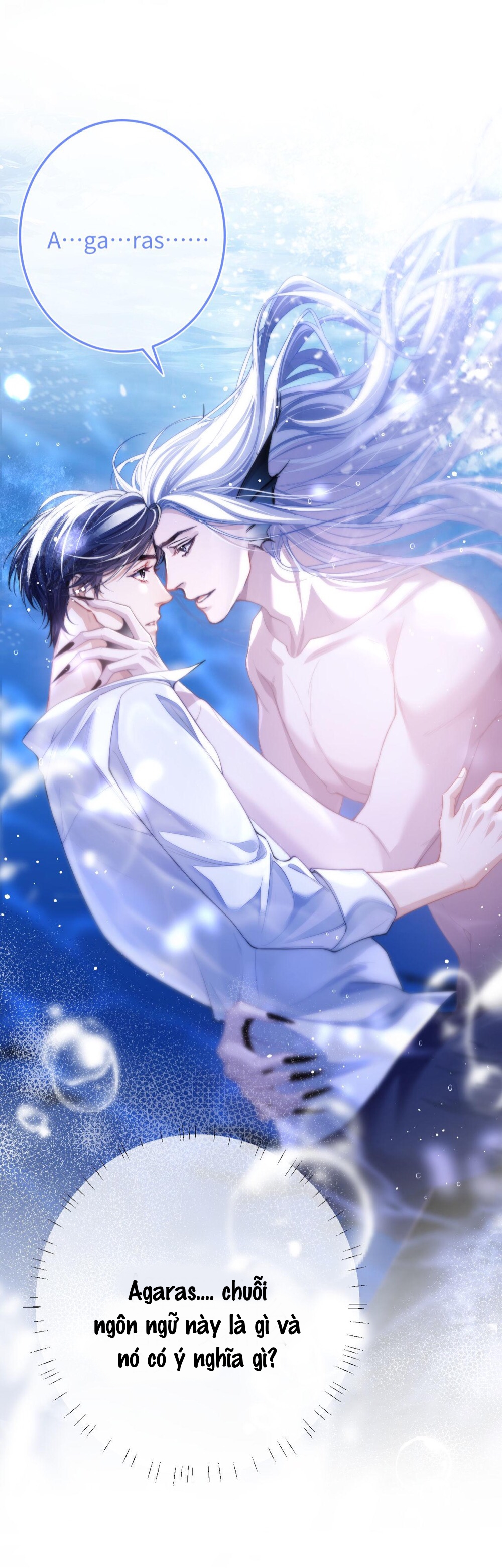 nhân ngư dessaro chapter 5 14