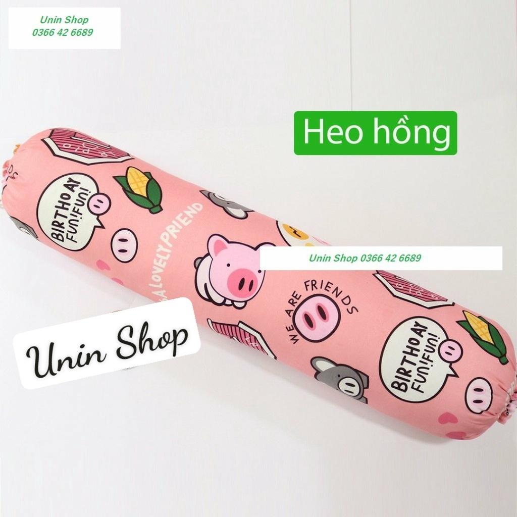 (Giá Sỉ) Áo gối ôm, vỏ gối ôm loại to mẫu Họa Mi Vàng bao gối dài poly cotton 30x100cm loại đẹp