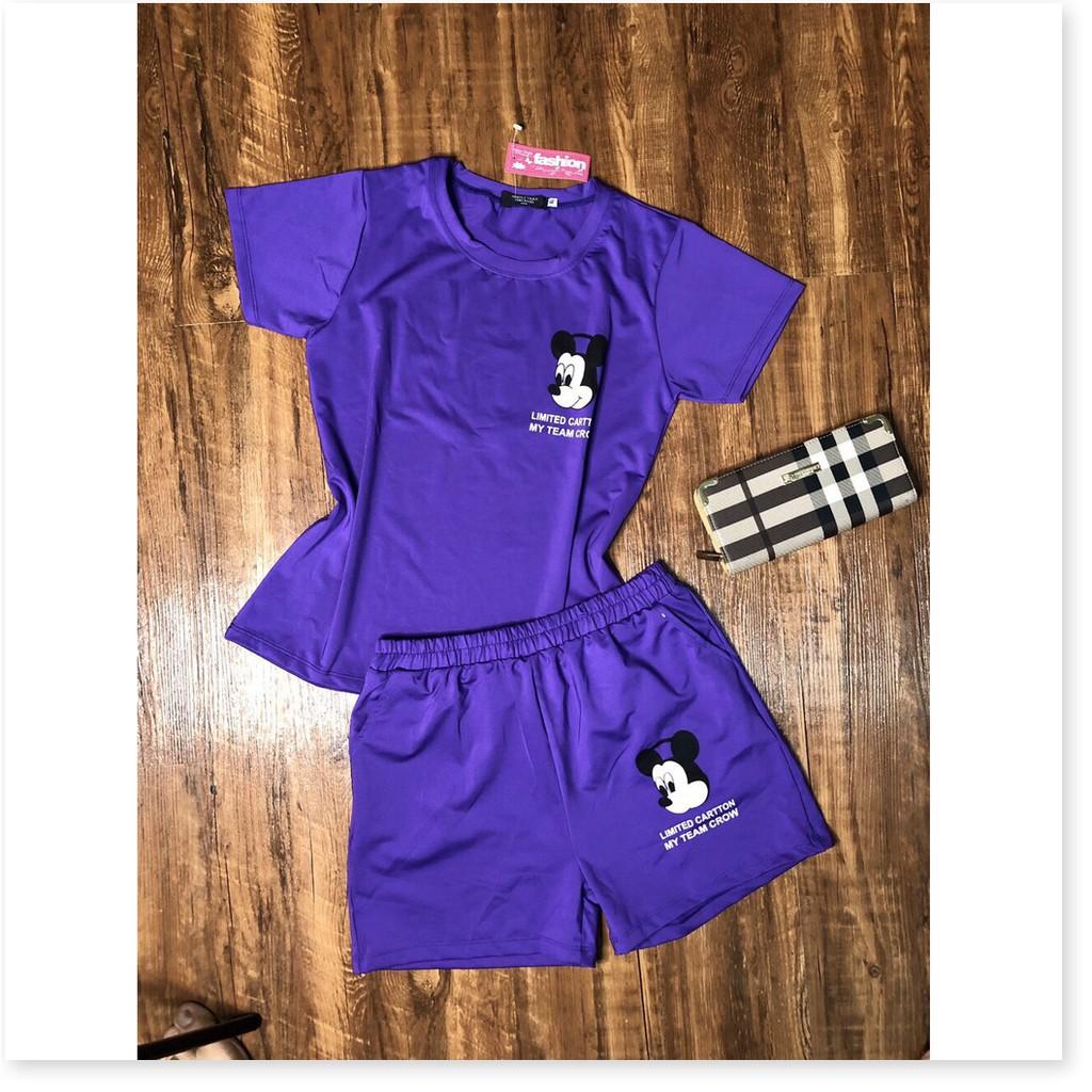 Set áo thun nữ quần đùi nữ cotton