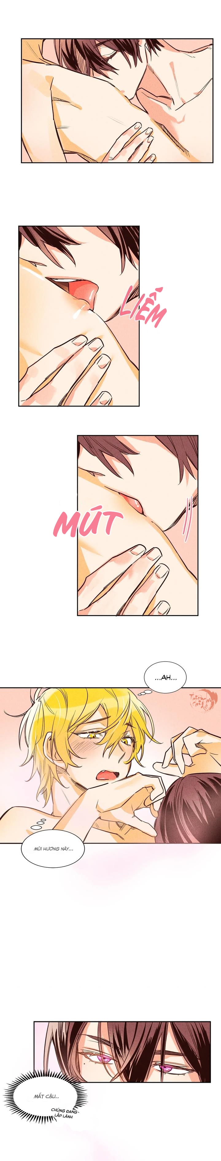 pheromone shower (chim nhại) chapter 8 10