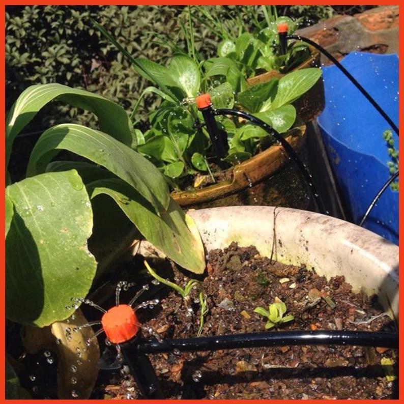 50 đầu nhỏ giọt 8 tia tưới gốc cây 206852