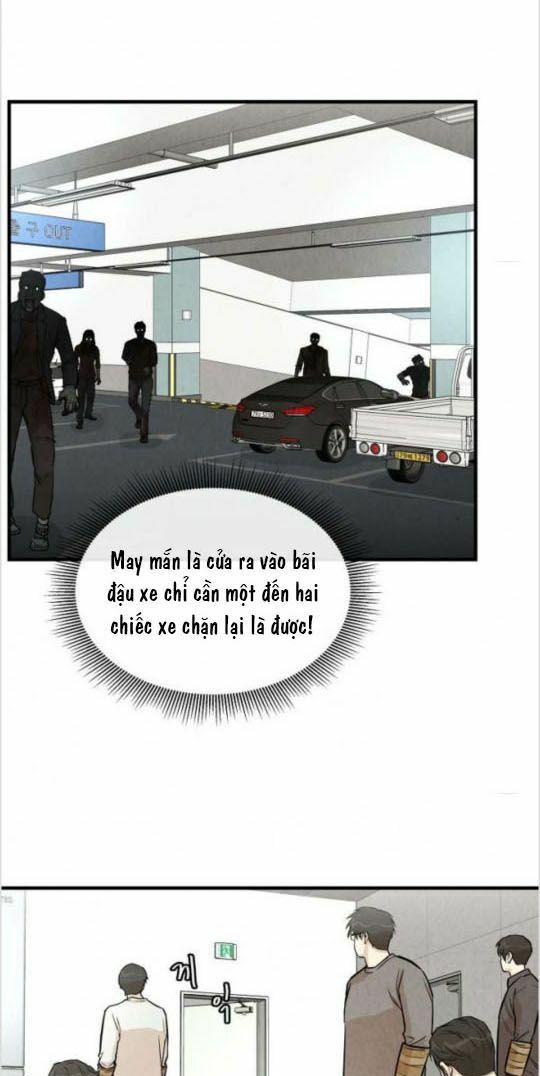 return survival chapter 13 24