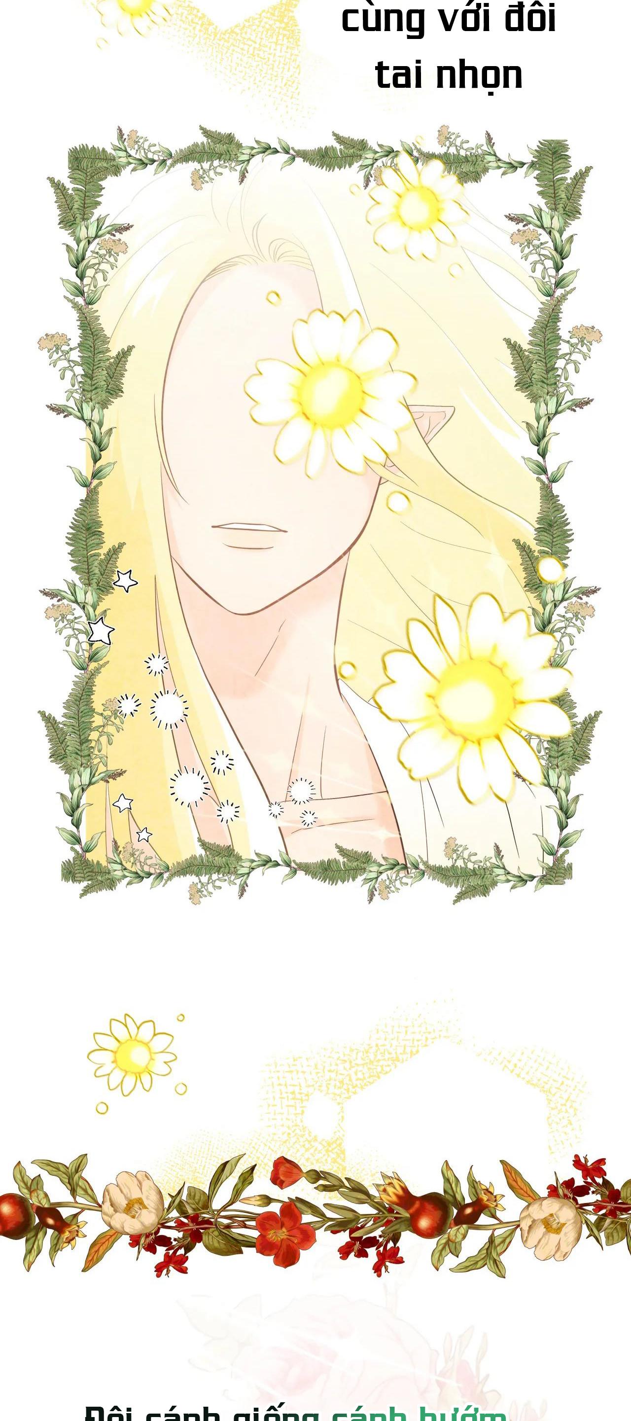 mối quan hệ ngu ngốc chapter 51 3