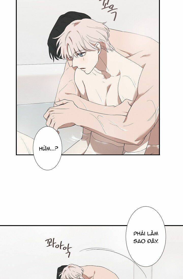 trốn tìm chapter 28 7