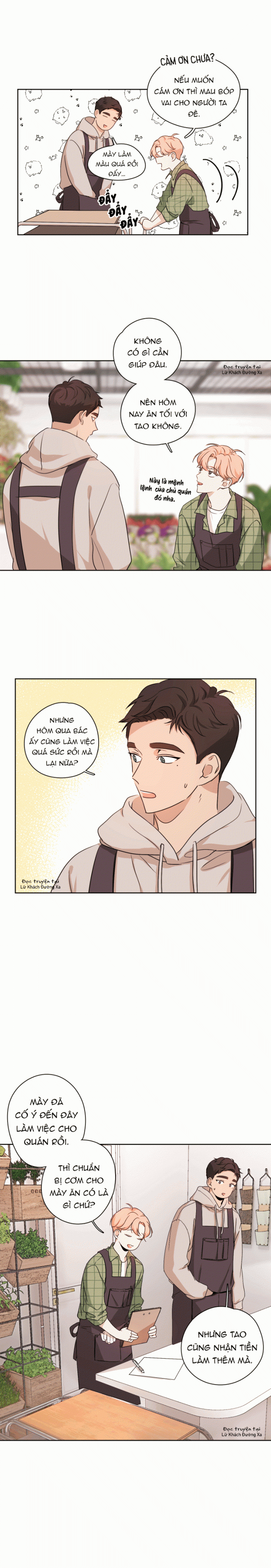 khi đào nở hoa chapter 2 5