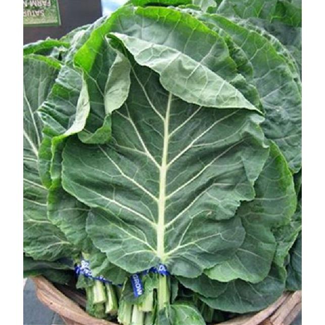 Hạt Giống Cải Rổ - Gói 1kg
