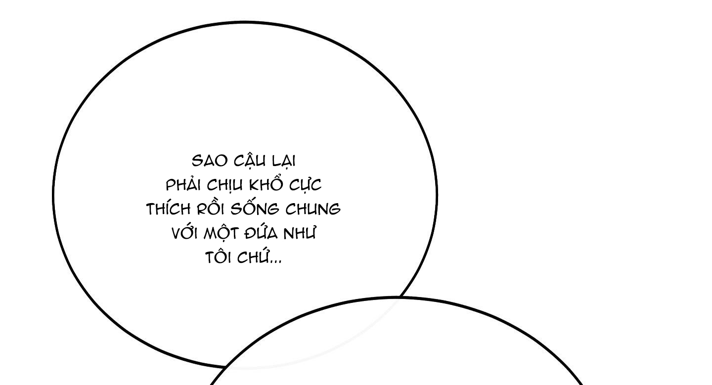 lãng mạn giả dối chapter 19 73