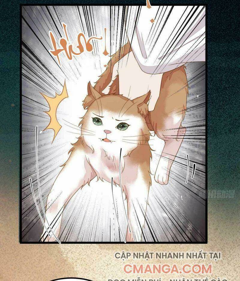 sát thủ vương phi không dễ chọc chapter 45 11