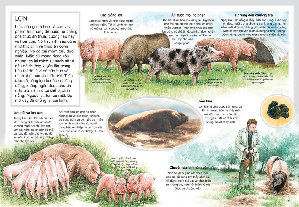 Động Vật Nuôi (Tủ Sách Thế Giới Động Vật) - Tái Bản