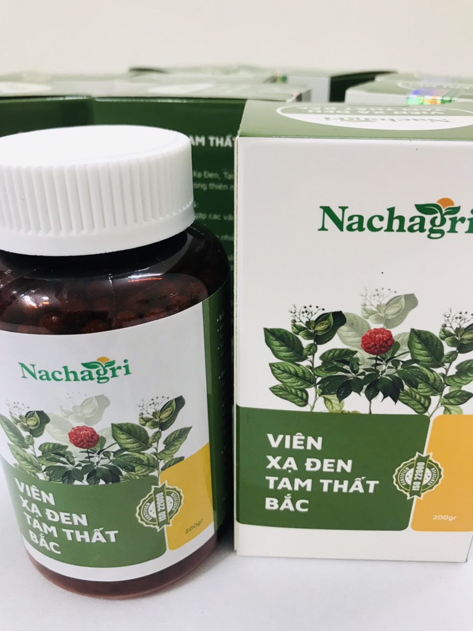 Xạ Đen Tam Thất Bắc Nachagri