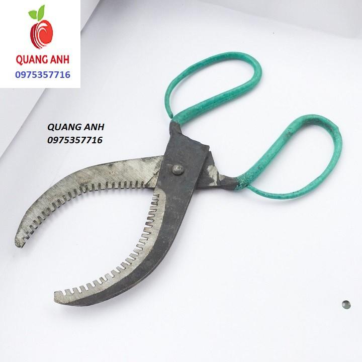 KÉO KHOANH CÀNH CÂY ĂN QUẢ