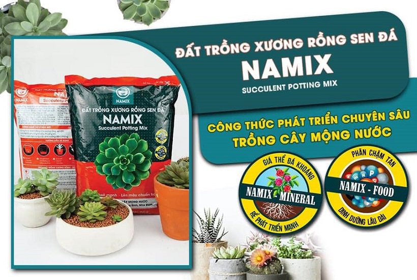 Đất Trồng Sen Đá Xương Rồng Trộn - NAMIX Đất Chuyên Dụng Cho Sen Đá - Nguyên Bao 2Kg