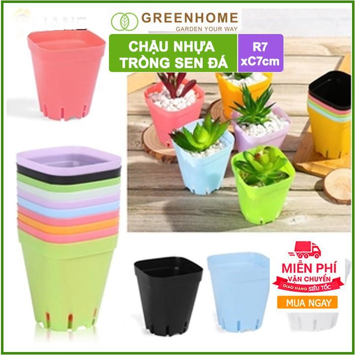 Bộ 5 Chậu nhựa trồng sen đá ,xương rồng, 7x7cm, màu sắc hiện đại