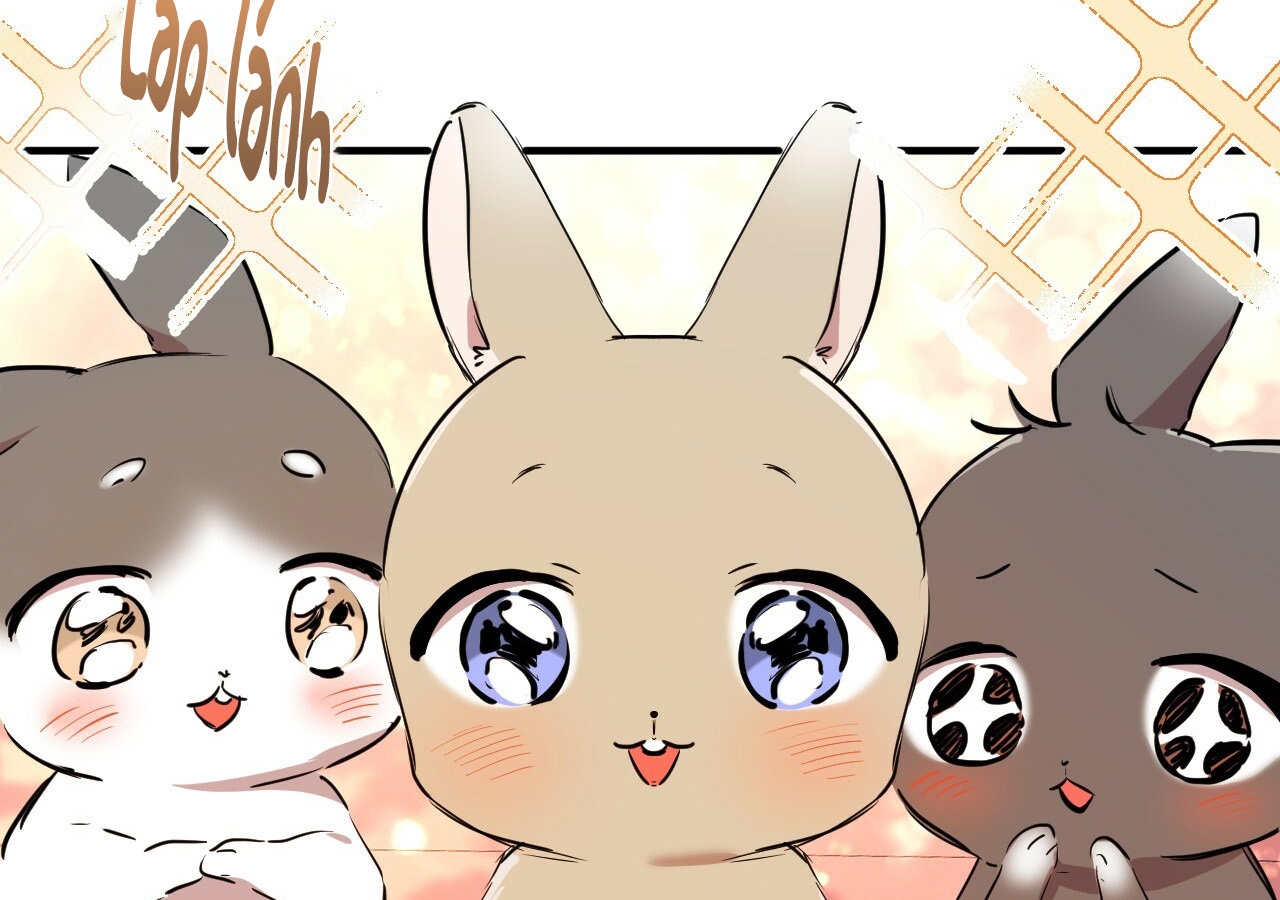 đàn thỏ của habibi chapter 21 8