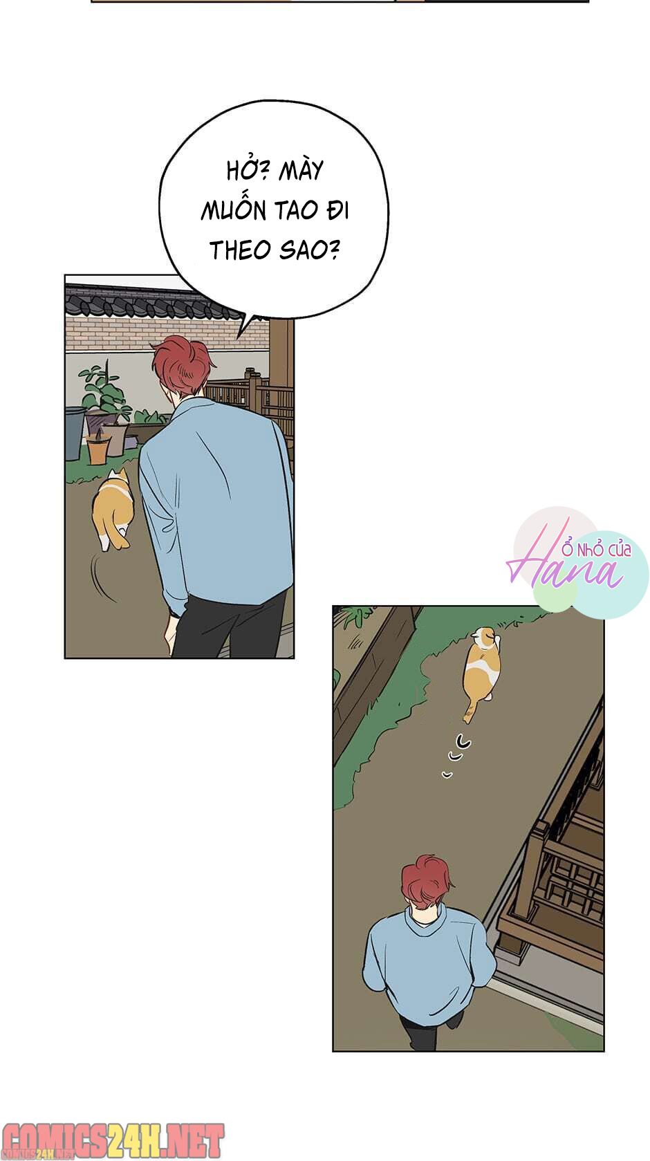 chỉ là giấc mơ thôi phải không? chapter 1 23