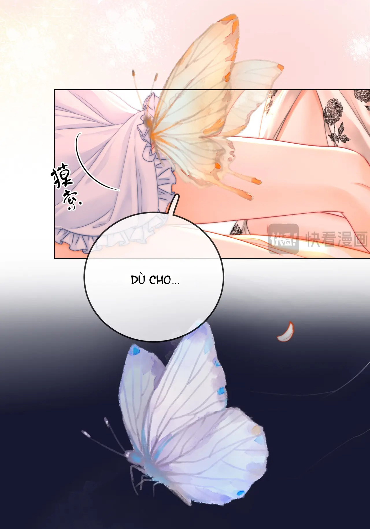 Cố Tiểu Thư Và Khúc Tiểu Thư chapter 61 - Trang 11