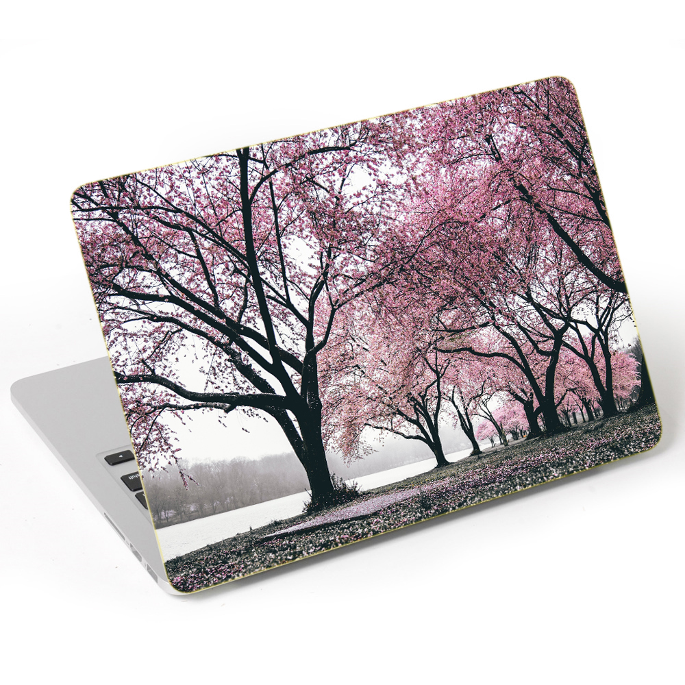 Mẫu Dán Laptop Thiên Nhiên LTTN - 80