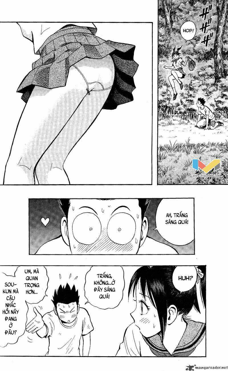 animal sense chapter 11 31