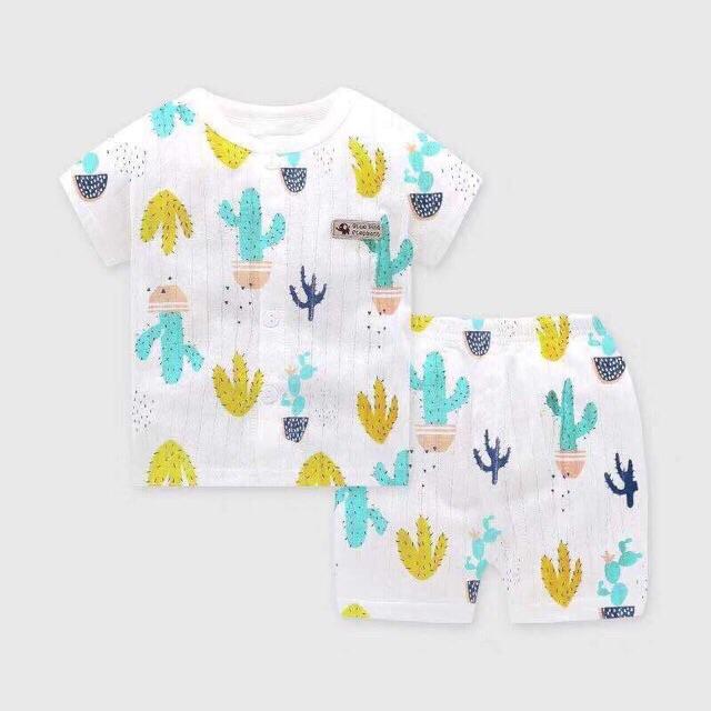 Bộ cotton giấy cộc tay